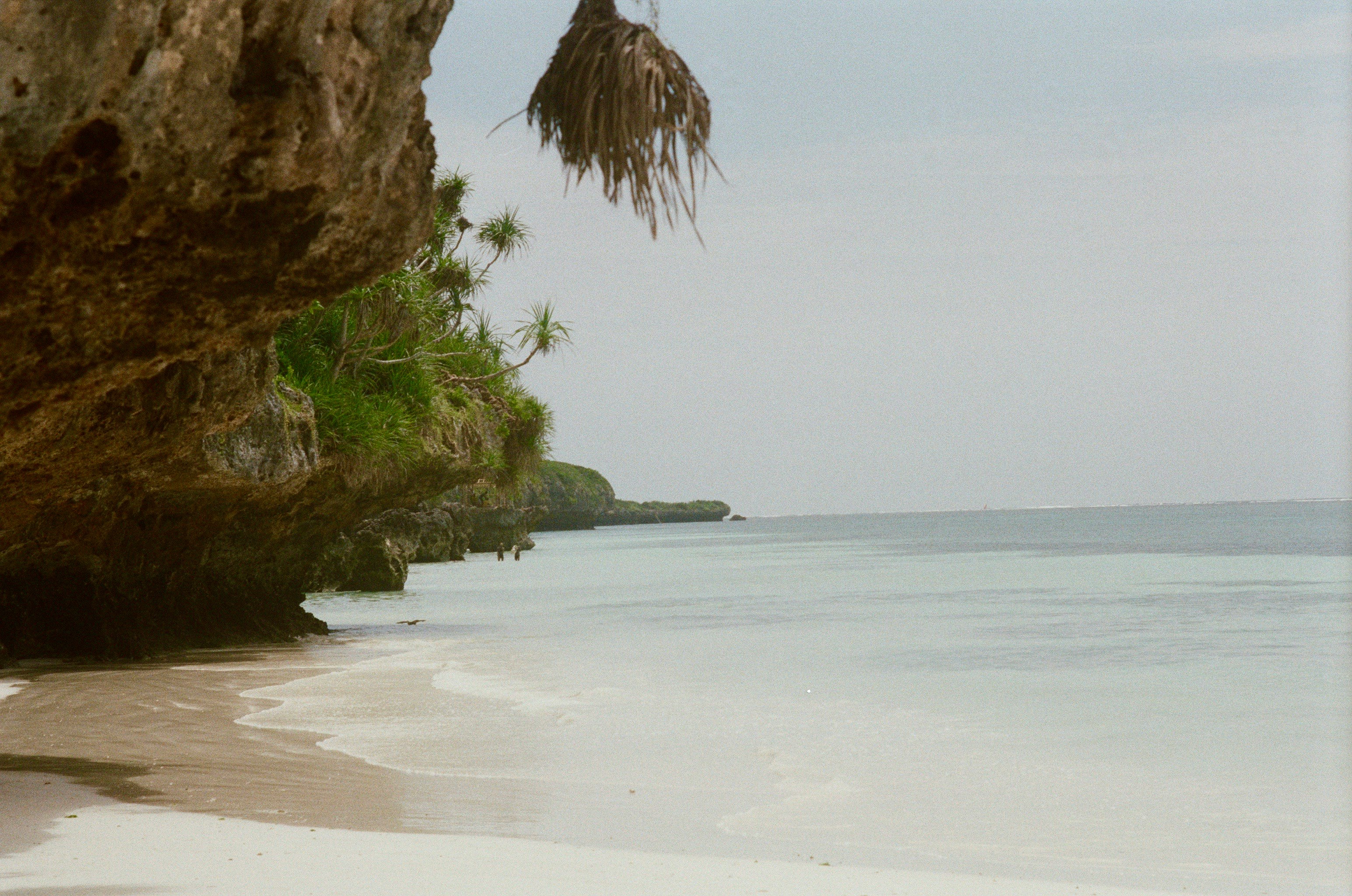 brown and green rock formation on seashore during daytime